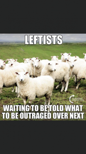 08:55:09 GMT-0400 (EDT).image