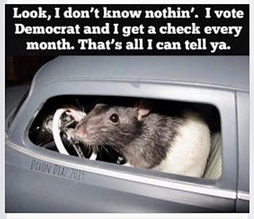 18:59:35 GMT-0600 (MDT).image