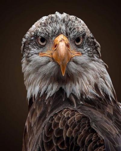 241526958_405330747637271_1152124674431300471_n