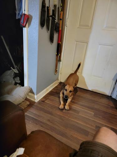 09:08:49 GMT-0500 (CDT)