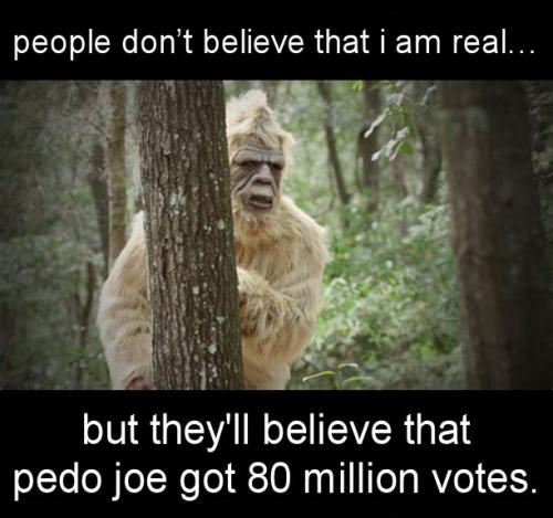 voterfraud225