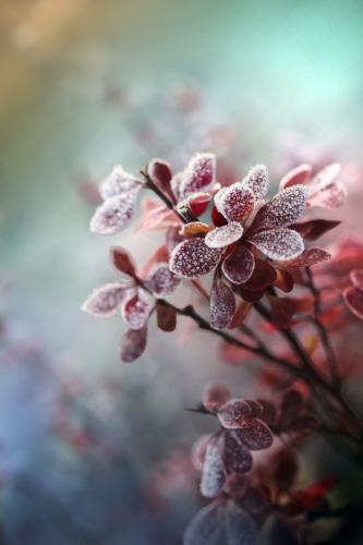 tumblr_6a30be5d42cb70661b8fb12c13ac46f0_ca1583a2_540