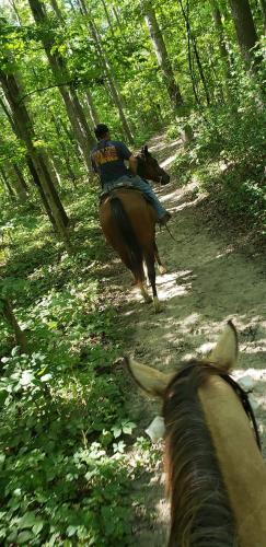 20:50:08 GMT-0400 (EDT)