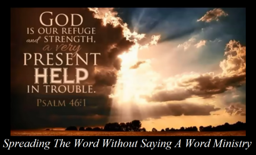 242124949_615360472790800_4809554259348894686_n