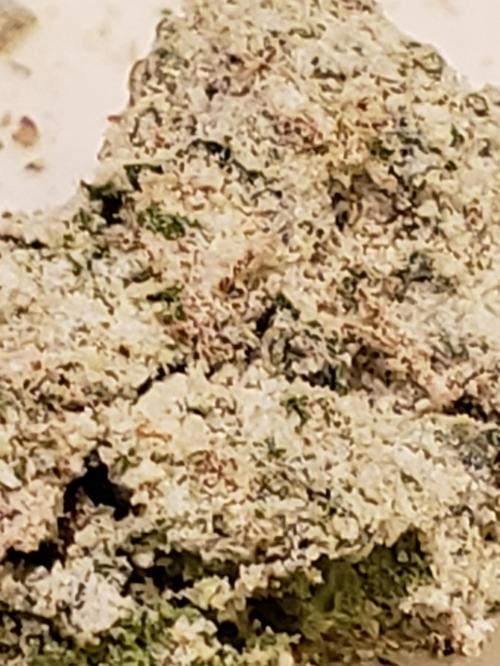 00:46:56 GMT-0500 (CDT)