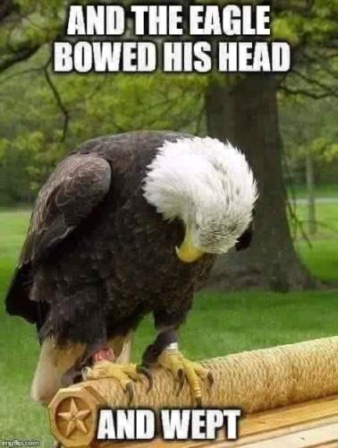 FB_IMG_1591286755469