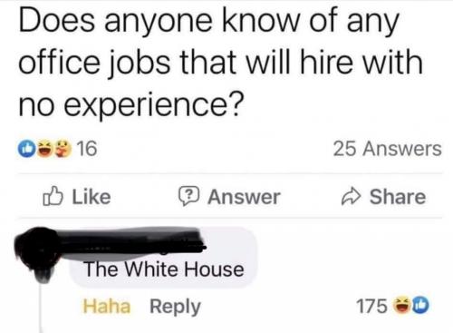 white house