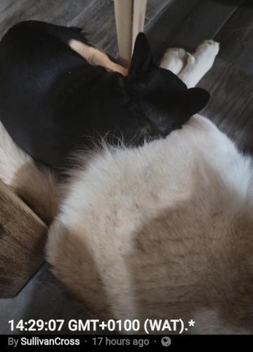 02:25:13 GMT-0400 (EDT)