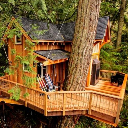 242125731_10159495693993050_3963140520848338424_n