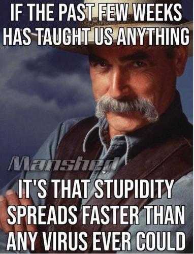 100737626_10158589517440452_1320785495302602752_n