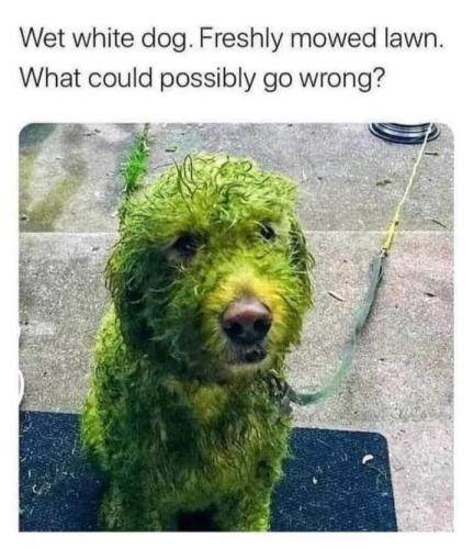 21:28:41 GMT-0500 (CDT)