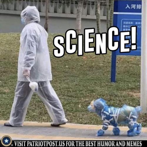 FB_IMG_1632438817437