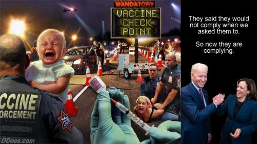 Vaccine check point