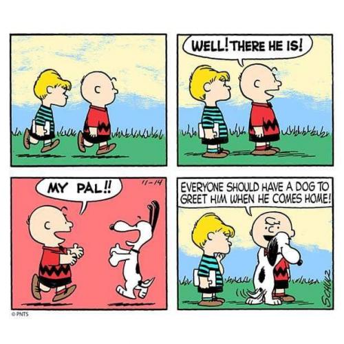 FB_IMG_1632692837576