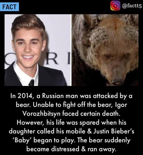 242300671_4426203774096224_3510752948617700637_n