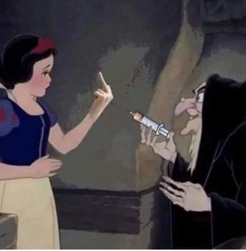 FB_IMG_1631490974546