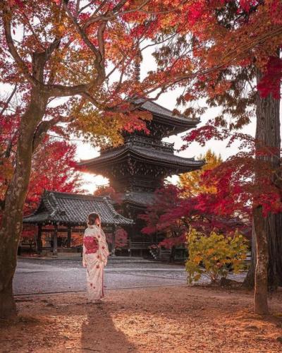 241752033_1237029953480680_801896427681715855_n