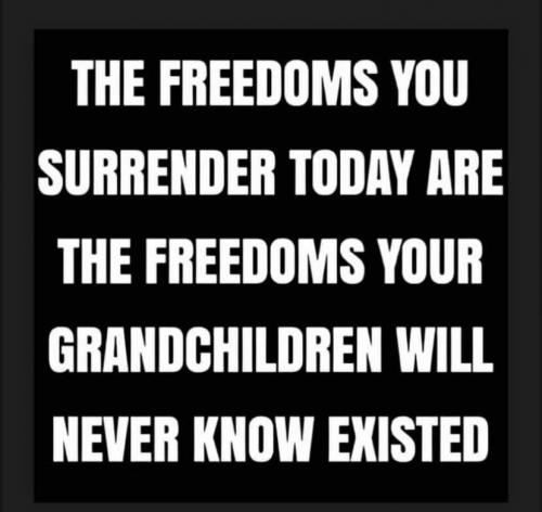 241733810_10108369199828465_1545681667345887013_n