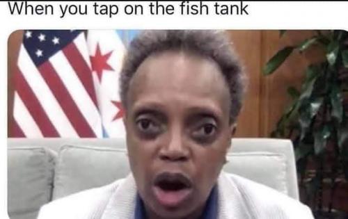 FB_IMG_1631129550967