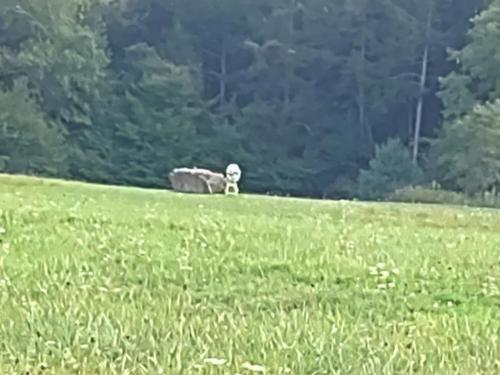 PHOTO_20210919_172112