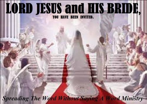 11934507_823666794399120_542356696733579025_o