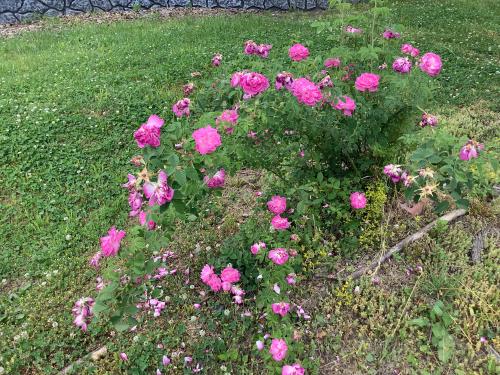 3FECBDC2-566C-4A1A-BA9E-30023E7B8BF5