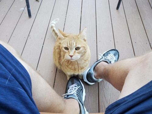 21:12:42 GMT-0700 (PDT)