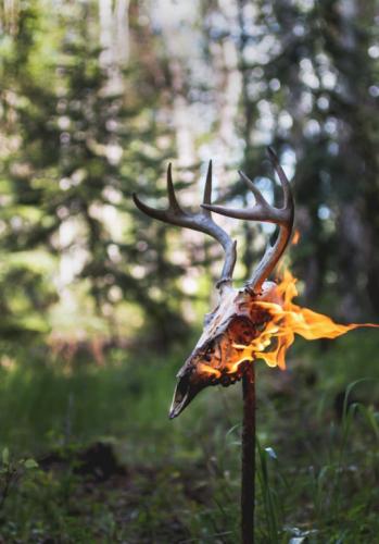 tumblr_nooohz3Jn81rmokbuo1_540