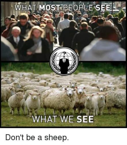 FB_IMG_1630984663734