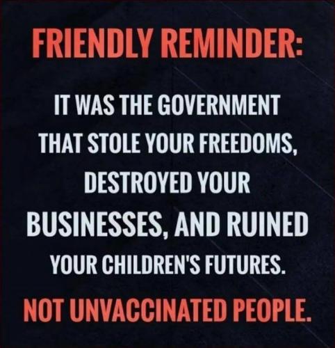 scamdemic20