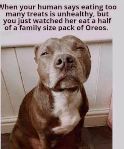 11:48:09 GMT-0500 (CDT)