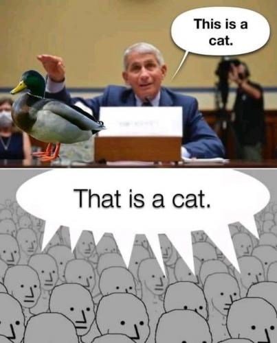 242050539_156776936639669_3250054237967011028_n