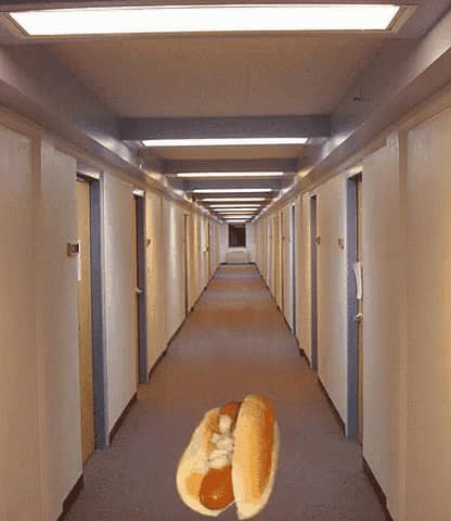 hot dog hallway