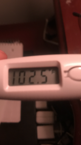 Temp of 102.5 😱