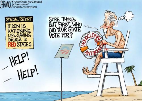 bidenbeachvotes