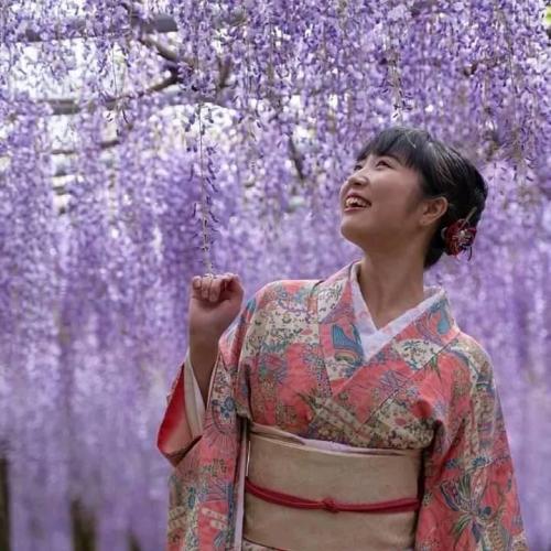 241800330_402580891209159_7847807395505513586_n