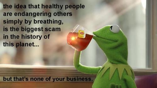 scamdemic24