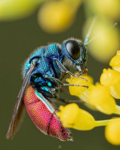 243161062_822995898341088_7626747538048928557_n