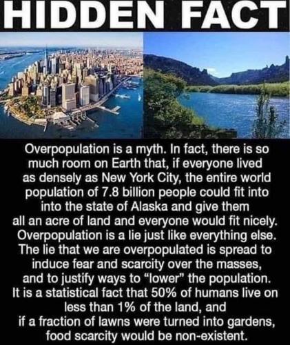 118136593_10158025981512772_2906725292183974465_n