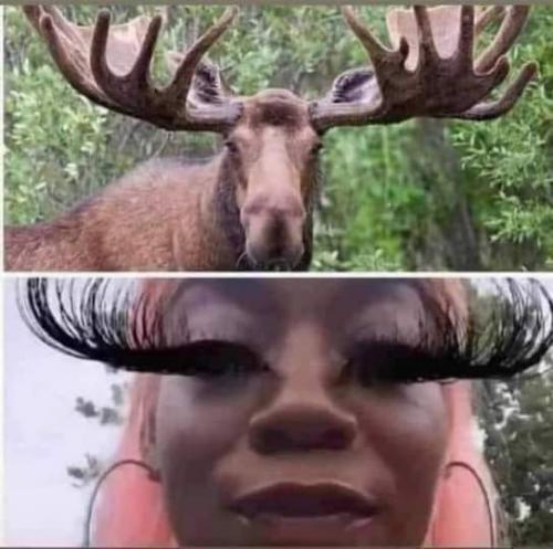 16:26:58 GMT-0500 (CDT)