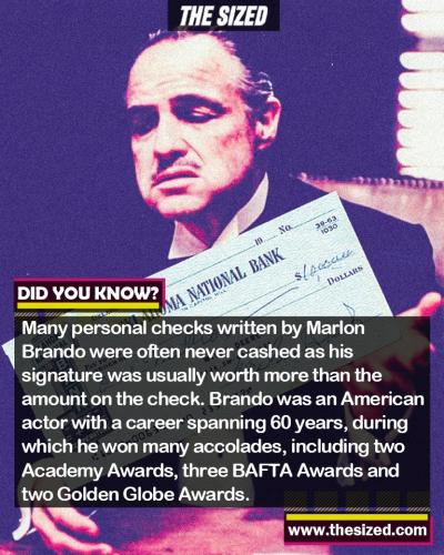 241557170_387085372857786_9163098374248786524_n