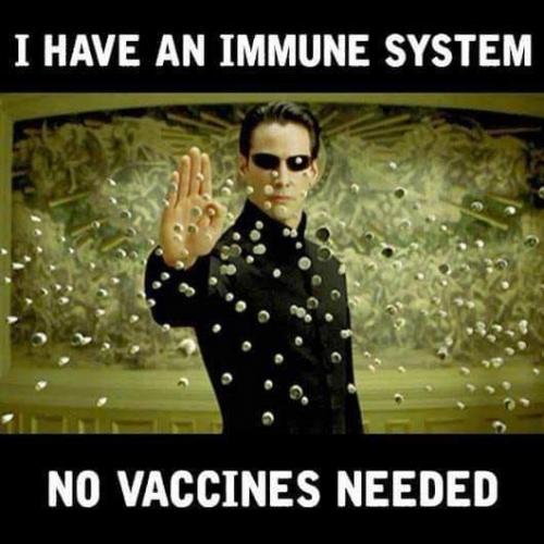 immune sys