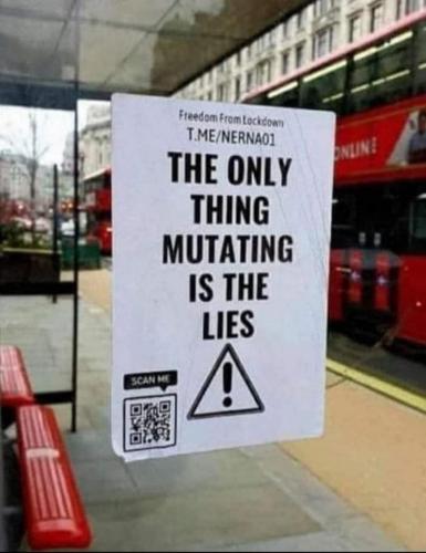 240101944_550358226197041_5257508014962508669_n