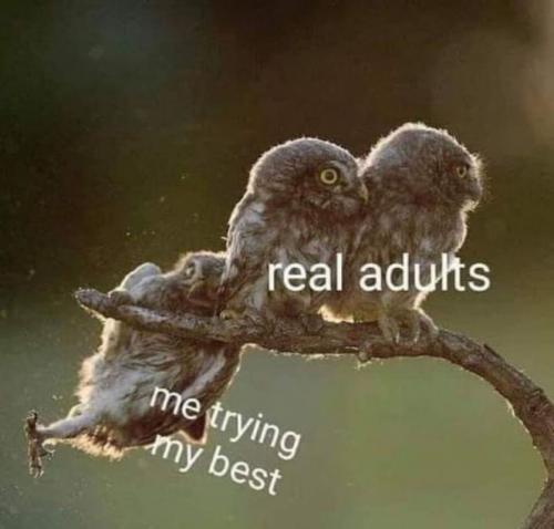 me trying my best