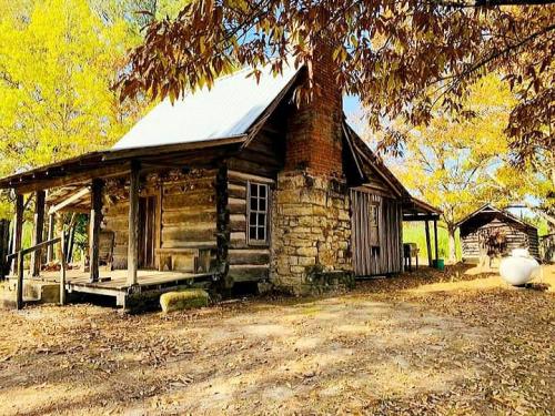 241412276_10159472407128050_8452810084844968133_n