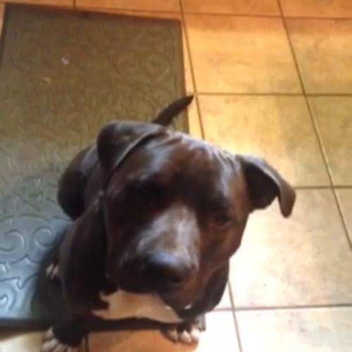 22:43:04 GMT+0100 (WAT).png