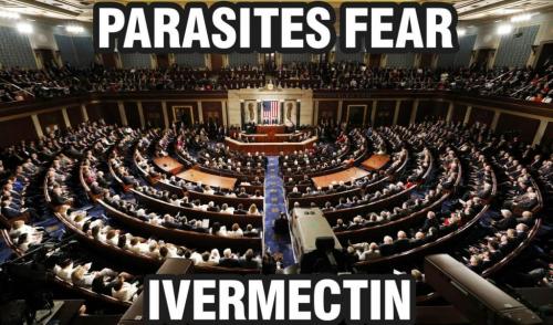 Parasites1