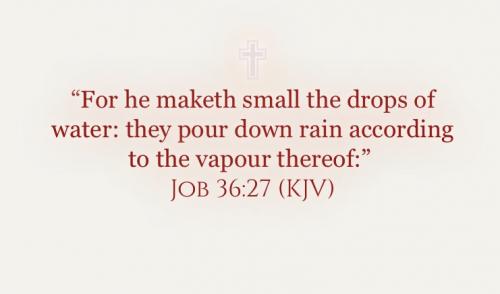 C2403E44-FAB2-4425-94C0-7E7A08F71A07