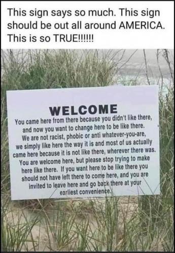 110318700_10217512322506378_1660533458344503207_n