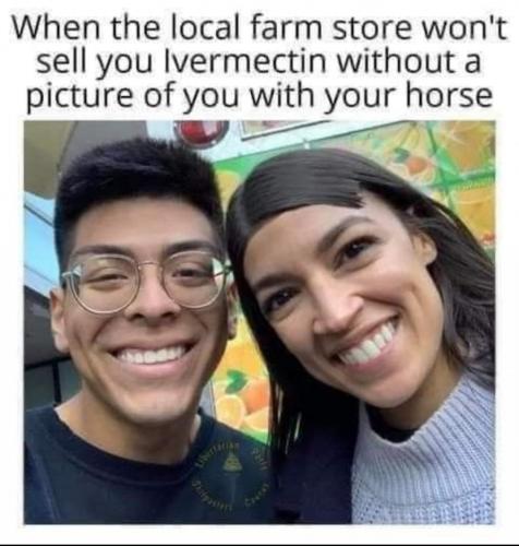 AOC the horse